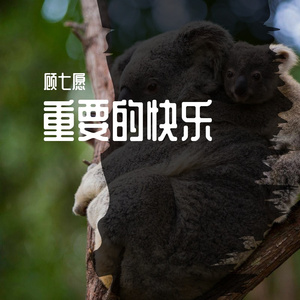 重要的快乐