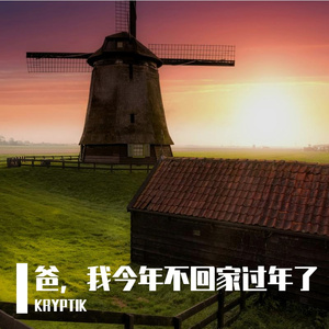 爸，我今年不回家过年了