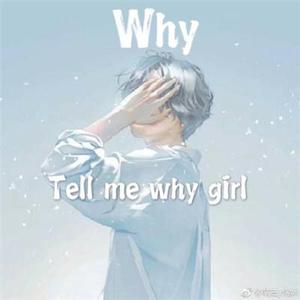 Why（翻自 罗之豪）
