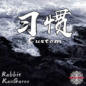 习惯（custom）