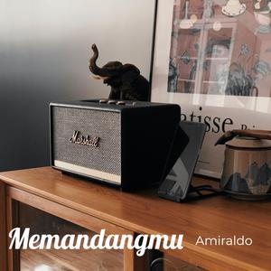 Memandangmu