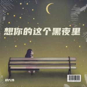 想你的星夜里