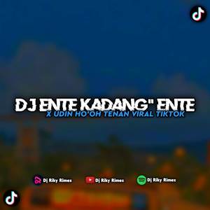 DJ UDIN HO'OH TENAN X ENTE KADANG KADANG ENTE VIRAL TIKTOK