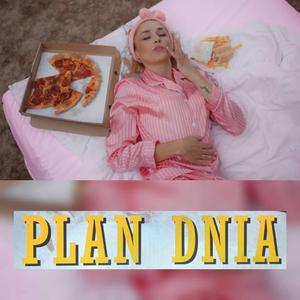 Plan dnia (feat. Michał Grzywna)