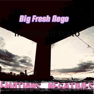 EMOTIONS NEGATIVES