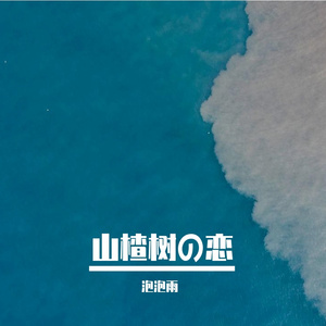 山楂树の恋（片段）