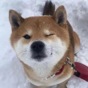 标准1_2022-03-24_181343