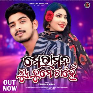 Mera Mann Kyun Tumhe Chahe, Royal king Krishna, Kiran khora