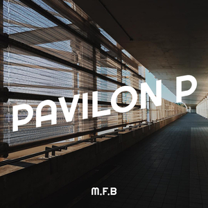 Pavilon P