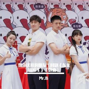 像你这样的朋友（网剧《东北插班生》主题曲）