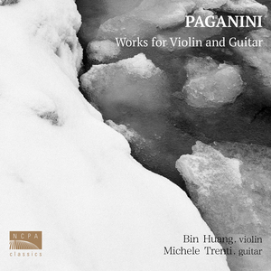 D小调小提琴与吉他奏鸣曲，作品2第3首：第一乐章・庄严的柔板 (Sonata for Violin and Guitar in D Minor, Op. 2 No. 3, MS 26:I. Adagio maestoso)