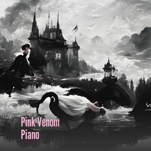 Pink Venom Piano (Cover)