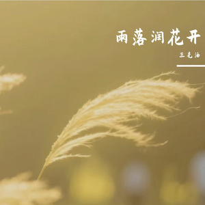 雨落润花开