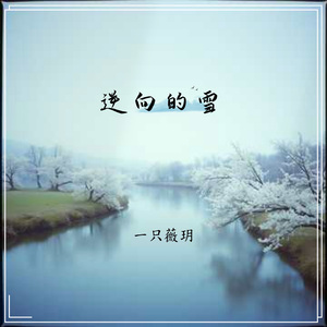 逆向的雪
