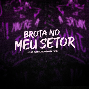 BROTA NO MEU SETOR