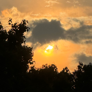 空中分解（utau cover)