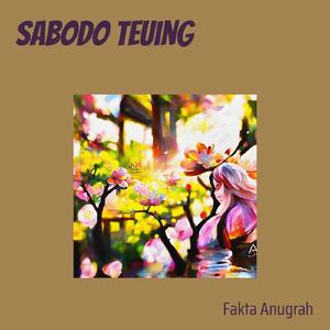 Sabodo Teuing