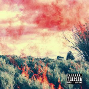 Rozmaring (feat. Co Lee & Burijenci)