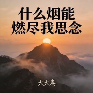 什么烟能燃尽我思念