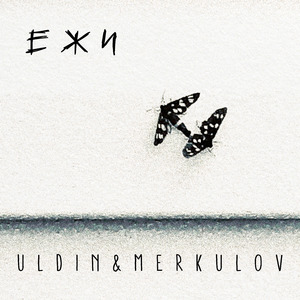 Ежи