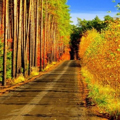 一路向前 (十大气势背景音乐)