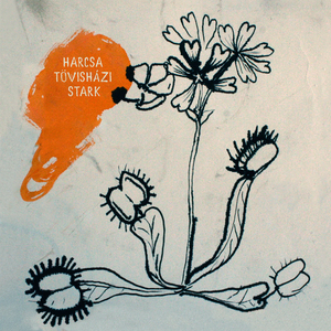 Mushrooms For Christmas (2020)