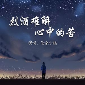 烈酒难解心中的苦