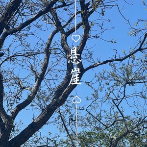 冬雪