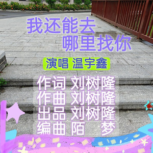 我还能去哪里找你 (温宇鑫版)
