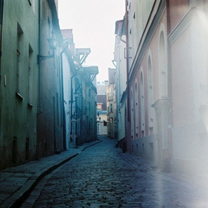 Beasts In Vain Would Sing Till Death Arrives ( Please)