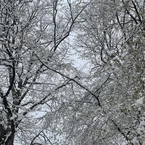 few cents calling (feat. sean franco)