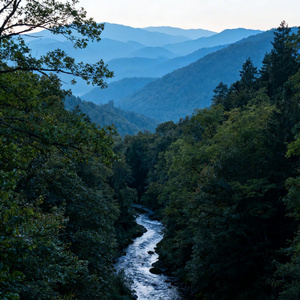 也许有一天我会遇见新的风景