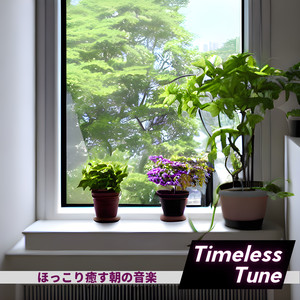 A Lovely Sunday Morning