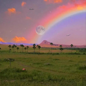 万物都是自由诗 (加速版)