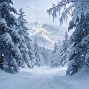 你是那年冬天雪