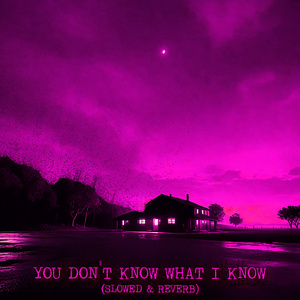 you don't know what I know (Slowed & Reverb)