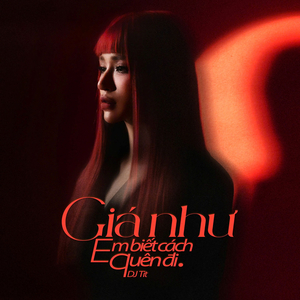 Giá Như Em Biết Cách Quên Đi