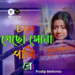 Cole Gecho Shona Pakhi Re