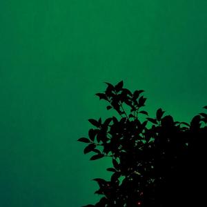 我真的很讨厌人品差（feat.CBG）