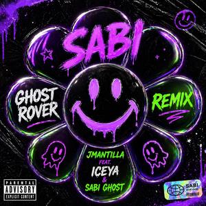 Rover (Sabi Ghost remix )