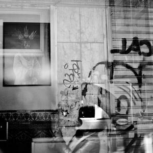 Silogismo vernáculo