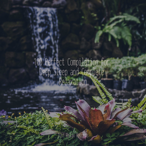 Echoes Unleashed in Chaos