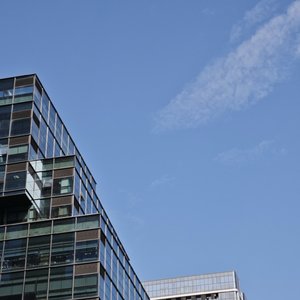 《拾荒的夏天》