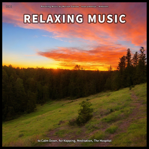 Revitalising Meditation