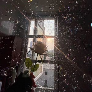 周传雄-冬天的秘密（解脱了. remix）