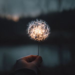 Night Sign