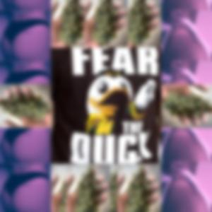 FEAR (feat. mezuzo)