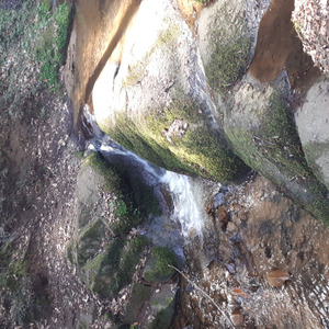 Illuminate our paths, like celestial designs