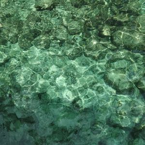 爱情的味道爱情的味道爱情的味道爱情的味道爱情的味道