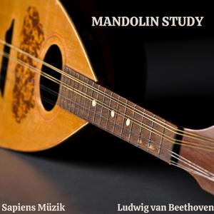 Sonata No. 24 (2nd Movement Allegro vivace) Mandolin Study
